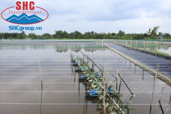 Trước tình hình thời tiết như hiện nay dễ gây phát sinh bệnh trên tôm khiến người dân thả nuôi vụ mới luôn trong tâm thế lo âu, phó mặc ý trời.