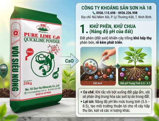 Khử phèn