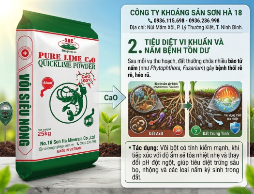Diệt khuẩn và nấm bệnh Diệt khuẩn và nấm bệnh
